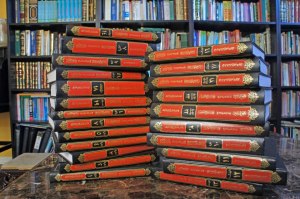 391996_10151019602740493_1763011729_n